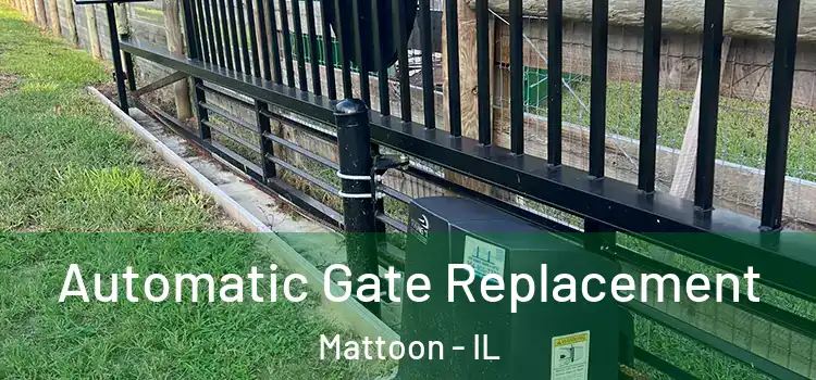 Automatic Gate Replacement Mattoon - IL