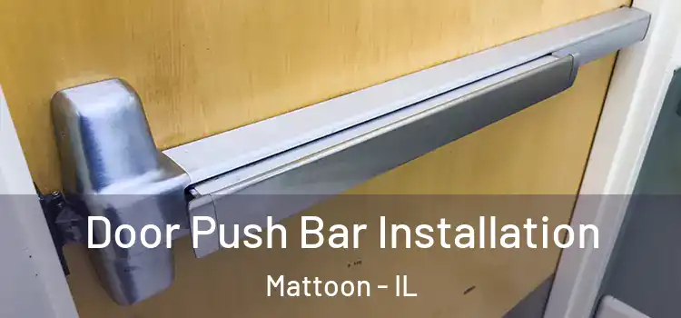  Door Push Bar Installation Mattoon - IL