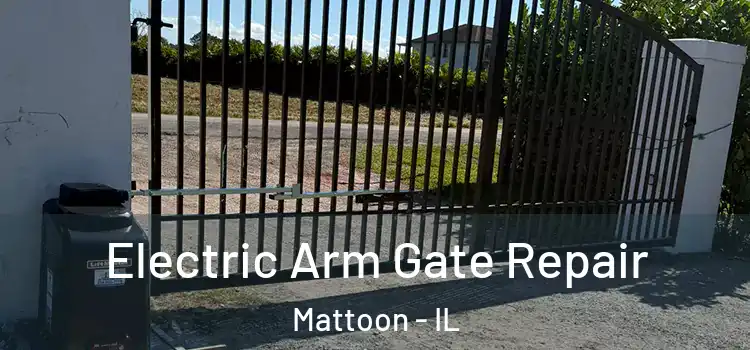 Electric Arm Gate Repair Mattoon - IL