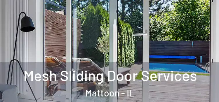 Mesh Sliding Door Services Mattoon - IL