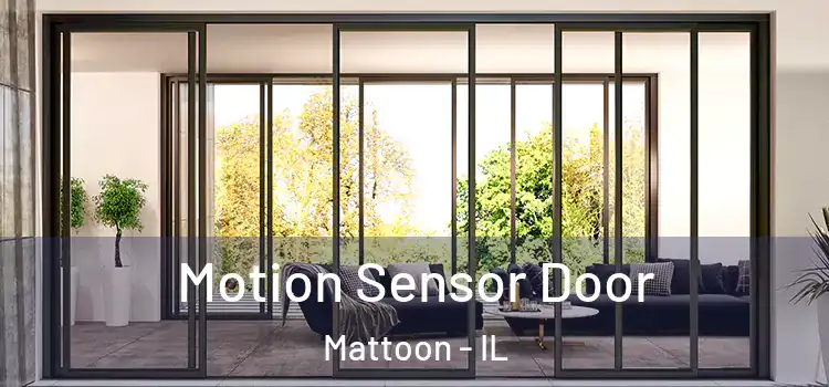 Motion Sensor Door Mattoon - IL